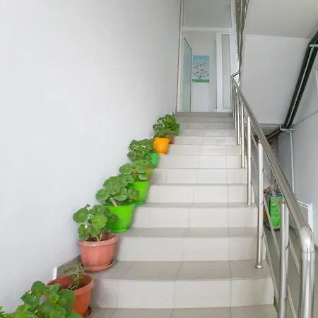Apartman апартамент 170 кв.м за 6-ма, село ягодово, пловдивско Plovdiv